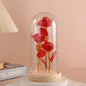 LED Valentine Day Gift For Girlfriend Eternal Rose Light 24K Gold Foil Flower In Glass Cover Mothers Day Wedding Bridesmaid Gift