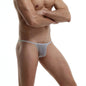 CLEVER-MENMODE Men's Sexy Lingerie Penis Bag Mini Underwear Ultra-Thin Transparent Panties Bikini Briefs Gay G-string Suspenders