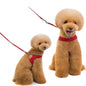 Pet Dog Walking Harness and Leash, Suitable for Puppies, Small to Medium Dogs, Ideal Choice for Training, Travel, and Daily Wear