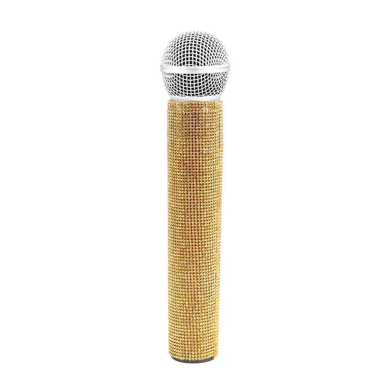 Children’s Simulation Microphone Model Media Interview Prop Educational Performance Toy Mic
