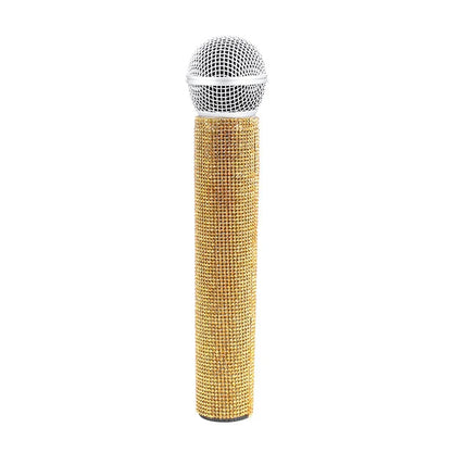 Children’s Simulation Microphone Model Media Interview Prop Educational Performance Toy Mic