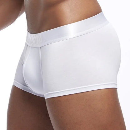 Underwear Men Boxers Men's Clothing Men Shorts Man Panties Boxershorts Boxer Hombre Ropa Interior Hombre  Modal Breathable