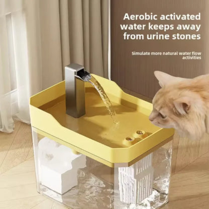 q USB Cat Water Fountain with Auto Filter Transparent Anti-Dry Burning Recirculating Dispenser Includes Pump for Cats