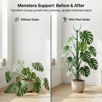 10pcs Monstera Plant Support Set Stackable Tall Poles with Ties