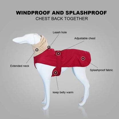 Arctic Paws: Cozy Waterproof Jacket for Big Dogs