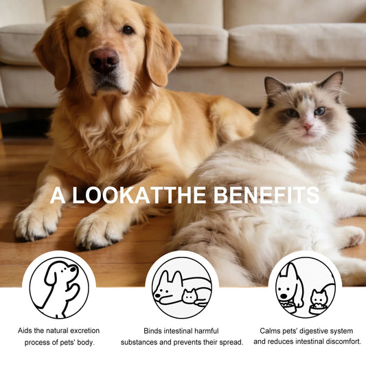 Coconut Shell Care Gel for Dogs Cats Intestinal Support Digestive Health Supplement Relief Digestive Balance Gut Health Care