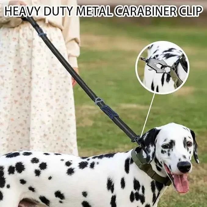 Reflective Tactical Bungee Dog Leash with Seatbelt
