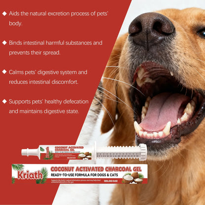 Coconut Shell Care Gel for Dogs Cats Intestinal Support Digestive Health Supplement Relief Digestive Balance Gut Health Care