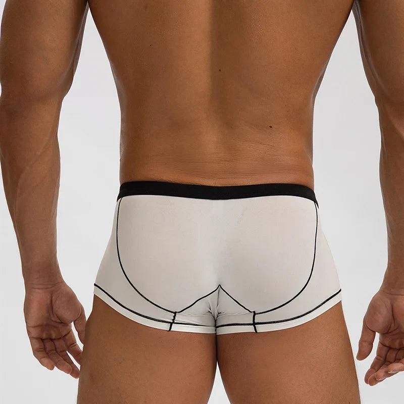 Thin Seamless Man Boxers Ice Silk Men's Panties Quick Dry Boxer Shorts Underwear Male Luxury Sexy U Bulge Pouch Underpants Cueca