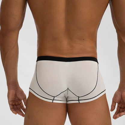 Thin Seamless Man Boxers Ice Silk Men's Panties Quick Dry Boxer Shorts Underwear Male Luxury Sexy U Bulge Pouch Underpants Cueca