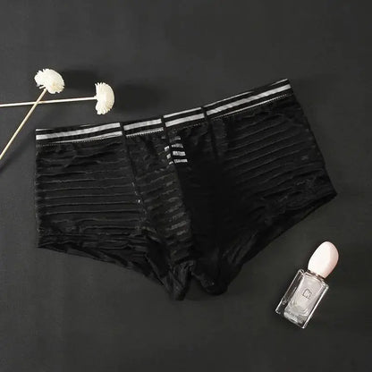 Men's Transparent Boxers Mesh Striped Underwear Low Waist Ultra-Thin Bikini Sexy Breathable Underwear Summer 3d Crotch Boxer
