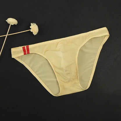 Sexy Men's Panties Transparent Breathable Briefs Low Rise Lingerie Men Bulge Pouch Briefs Underpants Underwear Pump Man