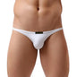 BRAVE PERSON Sexy Underwear Men Mini Briefs Low Waist Sexy Underpants Smooth Ice Silk Nylon Male Panties Bikini Briefs B1133