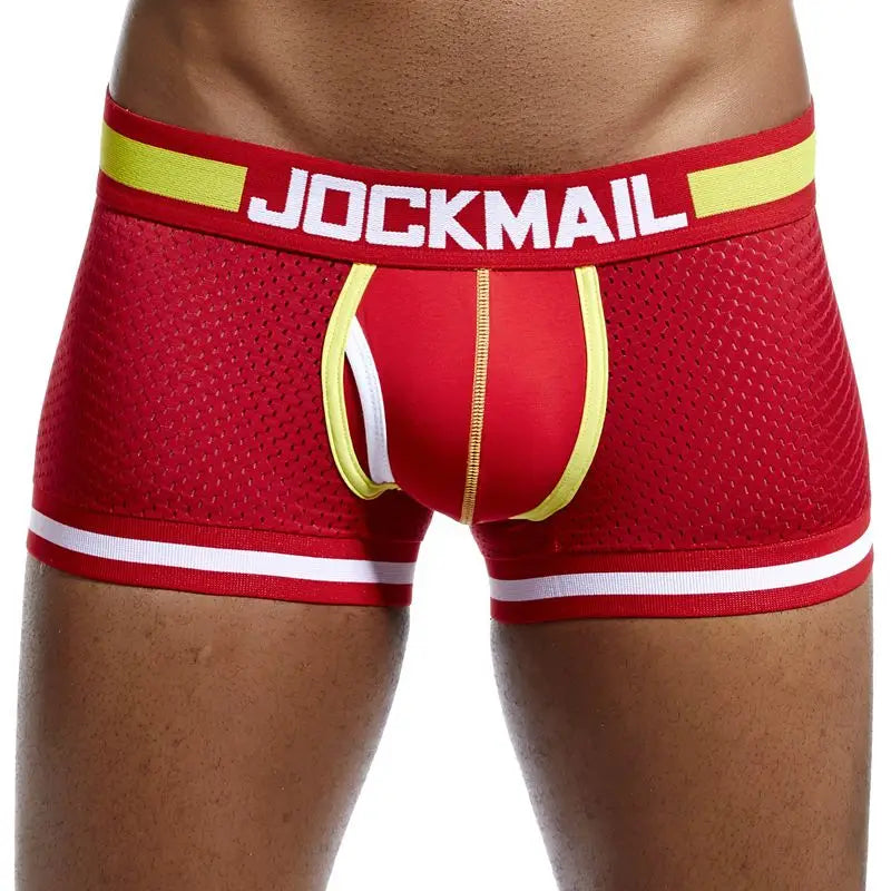 Mens Underwear Boxer Breathable Mesh Boxer Brief Male Underpants Sexy Panties  Mens Bodysuit Trunks PantQuick Dry Sports Fitness