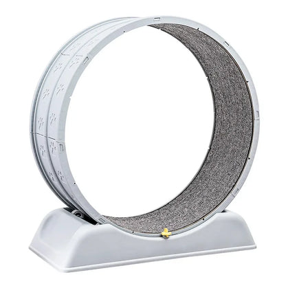 Purrfect Fit: Silent Cat Exercise Wheel