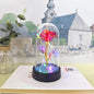 LED Valentine Day Gift For Girlfriend Eternal Rose Light 24K Gold Foil Flower In Glass Cover Mothers Day Wedding Bridesmaid Gift