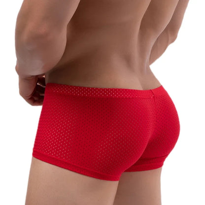 Men's Mesh Underwear Boxer Briefs See Through
