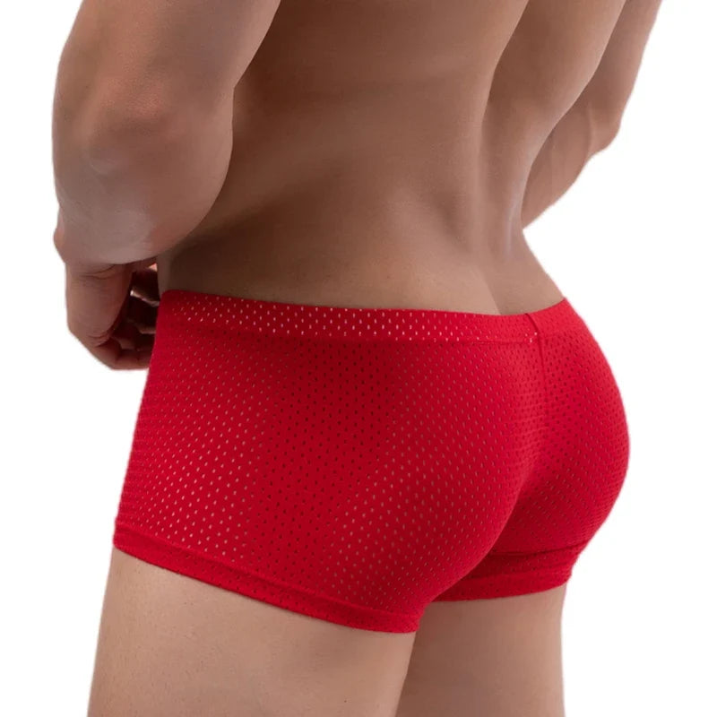 Men's Mesh Underwear Boxer Briefs See Through