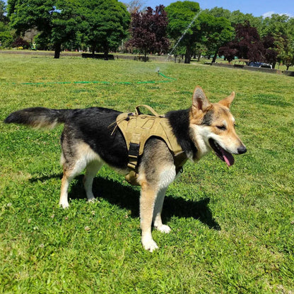 Tactical Dog Vest Harness No Pull Comfortable Adjustable Pet Harness For Medium Large Dog Military Training With Handle Labrador