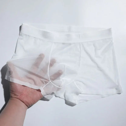 Silky Smooth Transparent Ice Silk Men's Underwear Ultra-thin