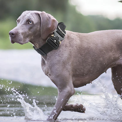 Tactical Dog Collar for Medium to Large Dogs 8 Colors Pet Collar Durable Comfortable Harness for Training And Control