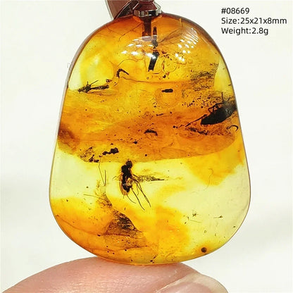 Natural Amber Pendant From Baltic Flower Yellow Amber Water Drop Women Men Jewelry Reiki Stone Women Men AAAAAAA