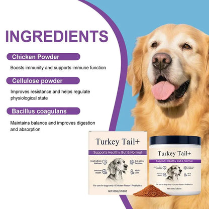 Dog Probiotic Intestinal Powder 100g Delicious Bacon Flavor Gut Flora Balance Digestive Support for Dogs Nutritional Supplement