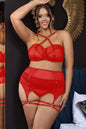 Plus Size Mesh Cage Bra and garter belt Set