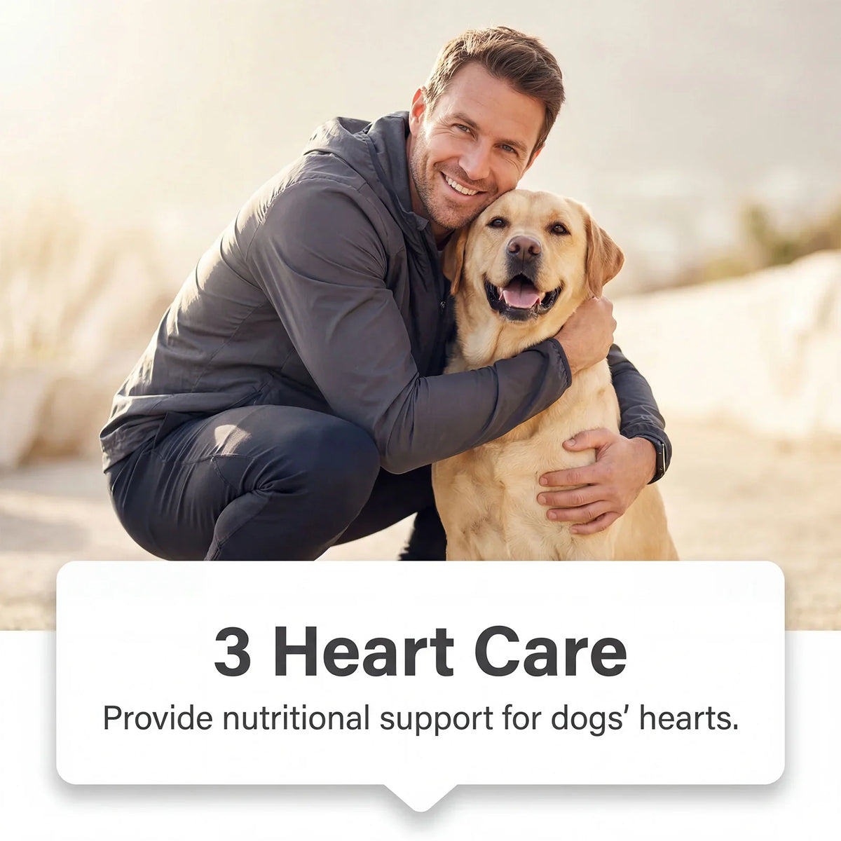 Premium Salmon Fish Oil For Pets Omega 3 Shiny Fur Immune Support Pets Coat Heart Health Dog Cat Heart Skin Nutrition Supplement