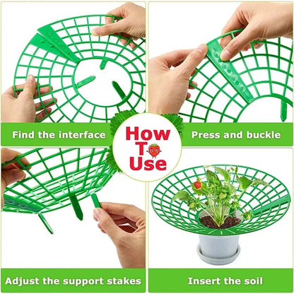 5/10Pcs Strawberry Plant Supports with 3 Sturdy Legs Strawberry Growing Racks Protector Frame Holder Cage From Mold Rot Dirt