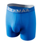 Sexy Men Underwear Men's Boxer 3D Hammock-shaped Pouch Designed Breathable Mesh Panels Men Boxershorts Trunk Male Underpants