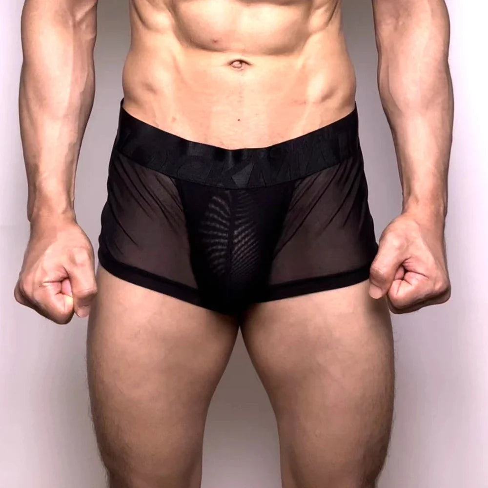 Breathable Men Underwear Elastic Men Sof Boxers Man Sexy Panties Underwear Man Men Underpants Thin Transparent Mesh Ice Silk
