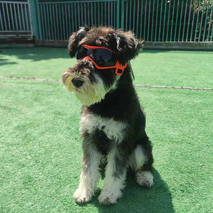 Pet UV Goggles: Cool Eyewear for Dogs & Cats