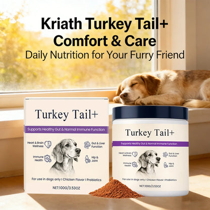 Kriath Pet Nutrition Powder Support Heart Health Promoting Intestinal Digestion Function Protect Joints Normal Lmmune Function