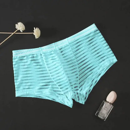 Men's Transparent Boxers Mesh Striped Underwear Low Waist Ultra-Thin Bikini Sexy Breathable Underwear Summer 3d Crotch Boxer