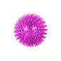 Bite Resistant Pet Chew Ball Toys for Small Large Dogs Elastic Buoyant Squeaky Puppy Big Dog Toy Border Shepherd Collie Supplies
