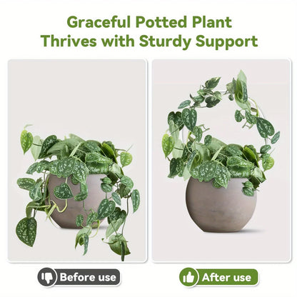 Round transparent acrylic plant stand, suitable for indoor and outdoor use, suitable for small climbing plants, etc.