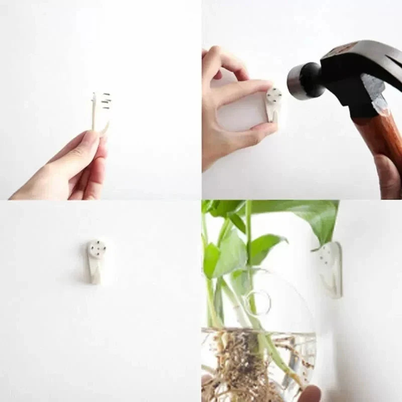 2/4/6/8 Pack Wall Hanging Glass Terrarium - Self-Watering Hydroponic