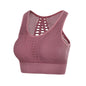 Seamless Mesh Women's Sports Bra Yoga Top