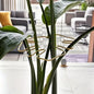 1Pc Large Monstera Plant Support Frame Sturdy Climbing Stems Leaf Stabilizer Outdoor Use for Tall Houseplant Hanging Plant Stand