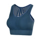 Seamless Mesh Women's Sports Bra Yoga Top