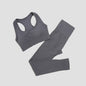 Seamless Women's Yoga Set - 2 Pcs Fitness Wear