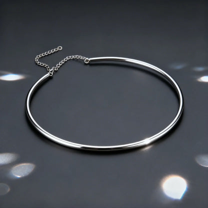 Dainty 4MM Wide Choker Necklace for Women,Silver Color Stainless Steel Necklaces, Torques Young Girls Gift Waterproof Jewelry