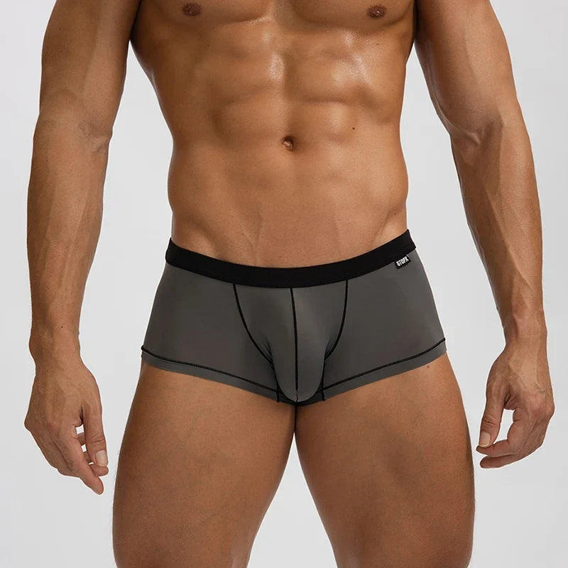 Thin Seamless Man Boxers Ice Silk Men's Panties Quick Dry Boxer Shorts Underwear Male Luxury Sexy U Bulge Pouch Underpants Cueca