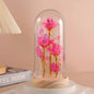 LED Valentine Day Gift For Girlfriend Eternal Rose Light 24K Gold Foil Flower In Glass Cover Mothers Day Wedding Bridesmaid Gift