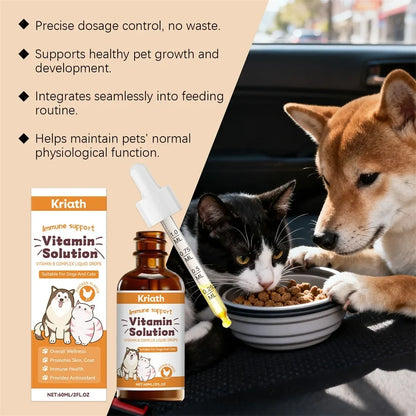 60ml Vitamins B Complex For Dogs Cats Immune Support Pet Body Care Drop Natural Grooming Drops For Pet Fur Growth & Health Skin