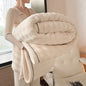 Warm Winter Blanket Milk Velvet Fleece Flannel Soft Thick Plush Blankets for Bed Sofa Single Double Couple Size Fluffy Bedspread