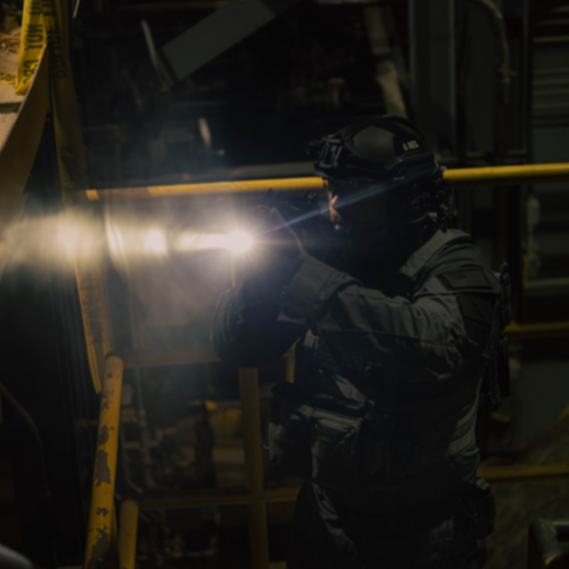 AWLS Advanced Weapon Light