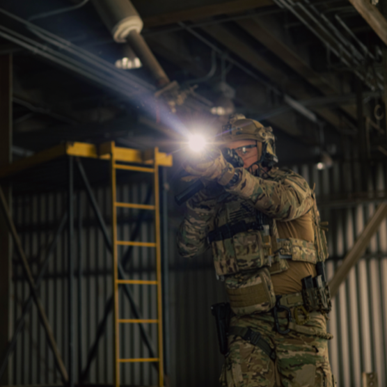 AWLS Advanced Weapon Light