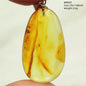 Natural Amber Pendant From Baltic Flower Yellow Amber Water Drop Women Men Jewelry Reiki Stone Women Men AAAAAAA